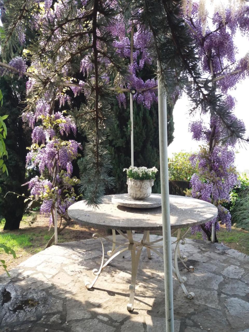 Novecento B&B Bollengo Exterior photo